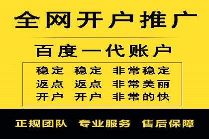 成功企业的SEM竞价优化经验与启示